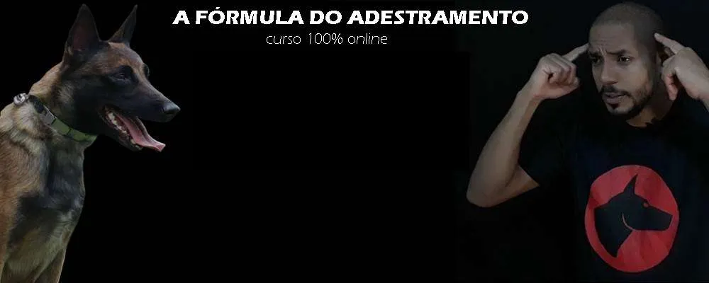 Capa: Baixar Adestramento 2.0 Dionatas Piloto: Curso Completo