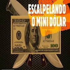 Capa: Curso Pio Trade: Baixe Estratégias Mini Dólar de Alta Conversão