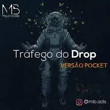 Capa: Baixar Dropship Traffic Miguel Basílio: Curso Completo Download