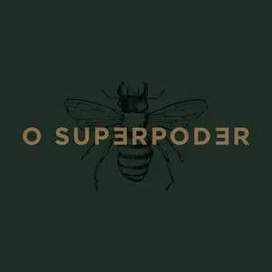 Capa: Baixar Reels Super Poderoso Paulo Cuenca: Domine o Instagram Agora!