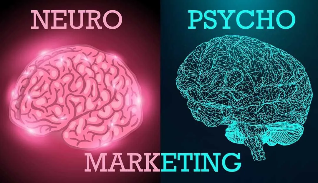 Capa: EAD Neuromarketing IBN: Baixe o Curso Completo em 2024!