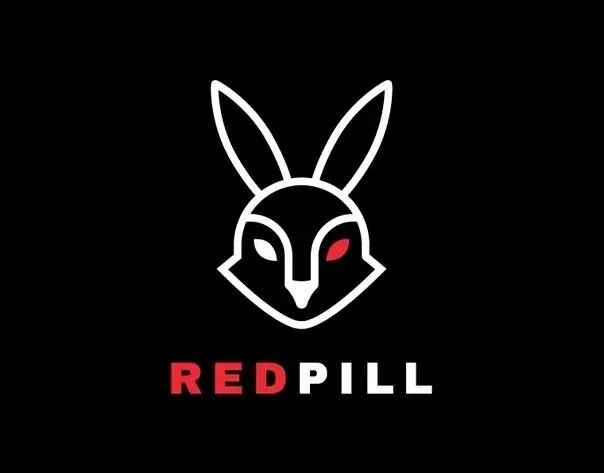 Capa: A Fraternidade Redpill: Baixar Curso Completo em Alta Qualidade