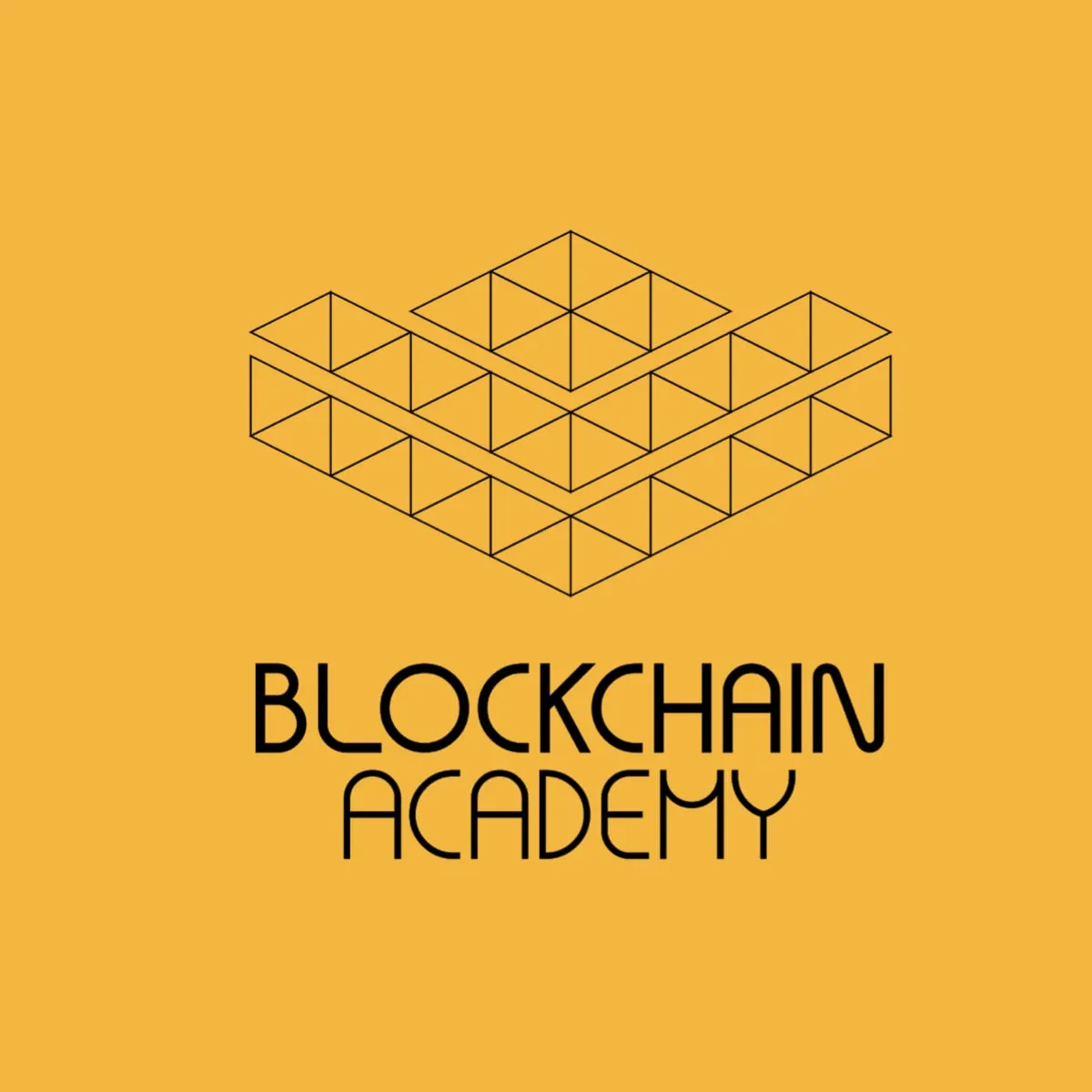 Capa: Blockchain Immersion: Baixe Agora o Curso da Blockchain Academy!