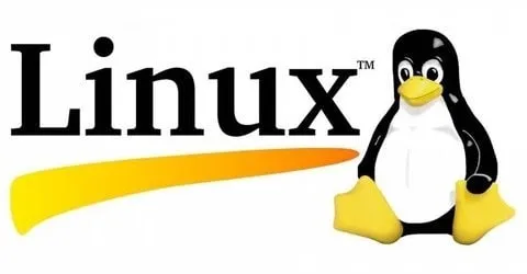 Capa: Linux Completo 2020: Baixar Curso Geek University Agora!