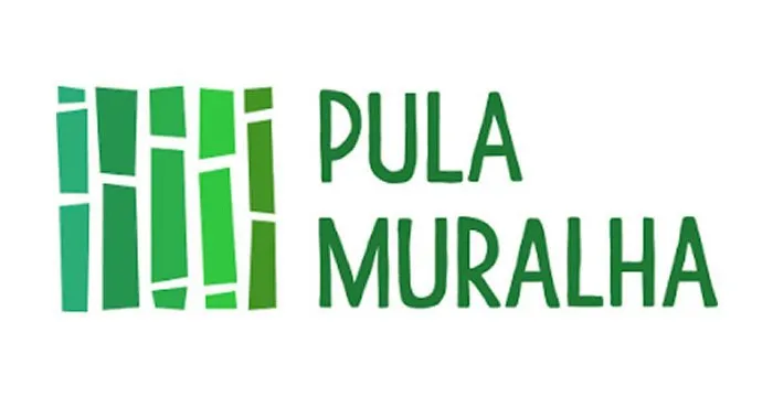 Capa: Curso Chinês Pula Muralha Si Liao: Baixar Agora!