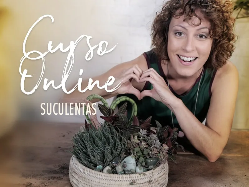 Capa: Curso Arranjos com Suculentas Carol Costa: Baixar Agora!