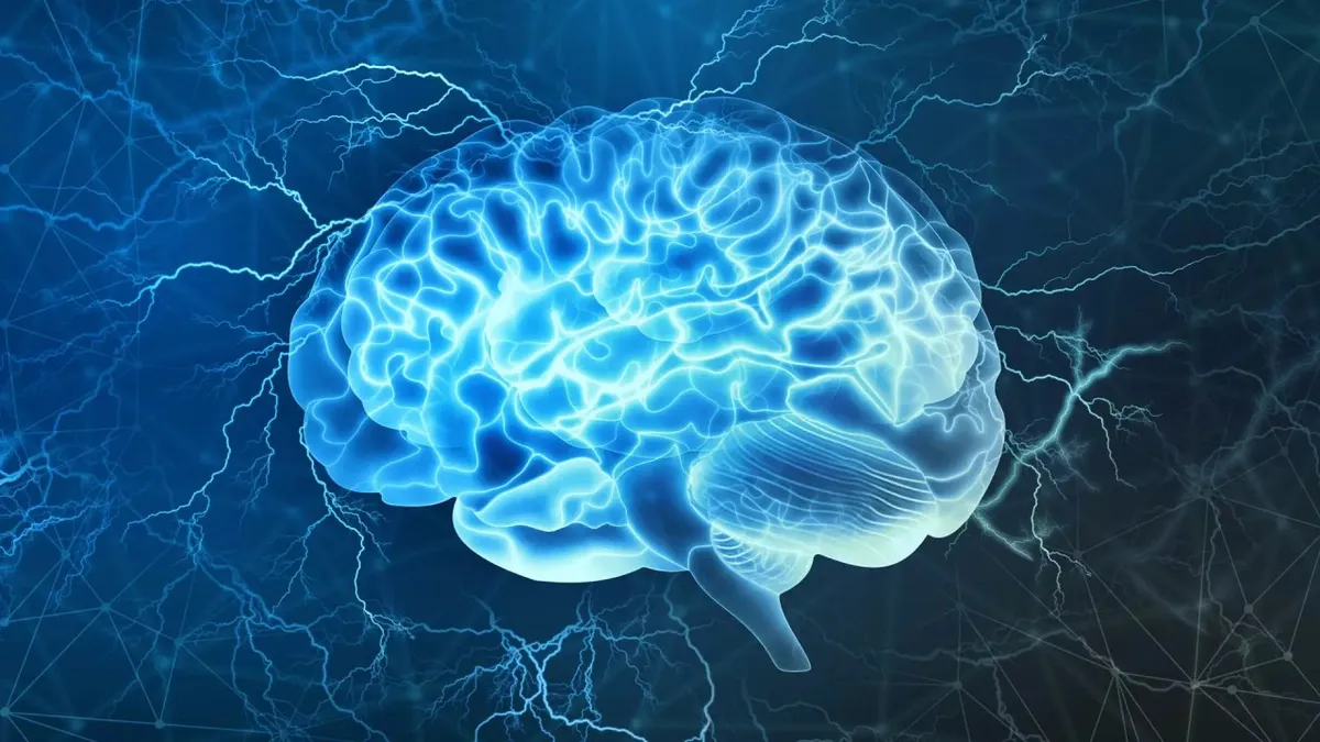Capa: Baixar Curso Neurociência e Comportamento Eslen Delanogare em Alta Qualidade