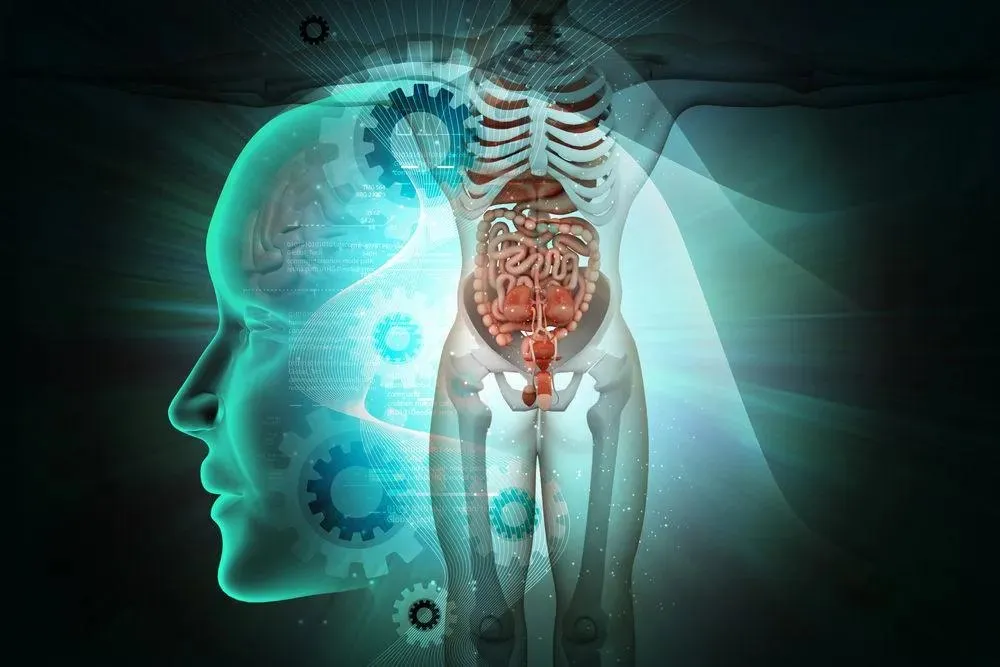 Capa: Baixe Curso Anatomia Humana Completo Agora [15h de Conteúdo]