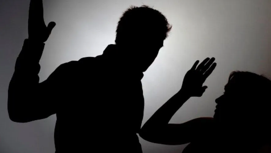 Capa: Baixar Crime Na Prática: Segredos da Atuação Violência Doméstica