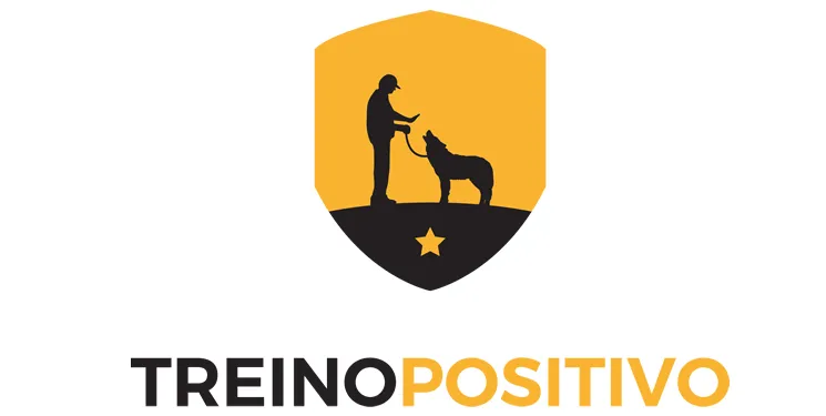 Capa: Baixar Treino Positivo 2.0: Curso Completo Download Agora!